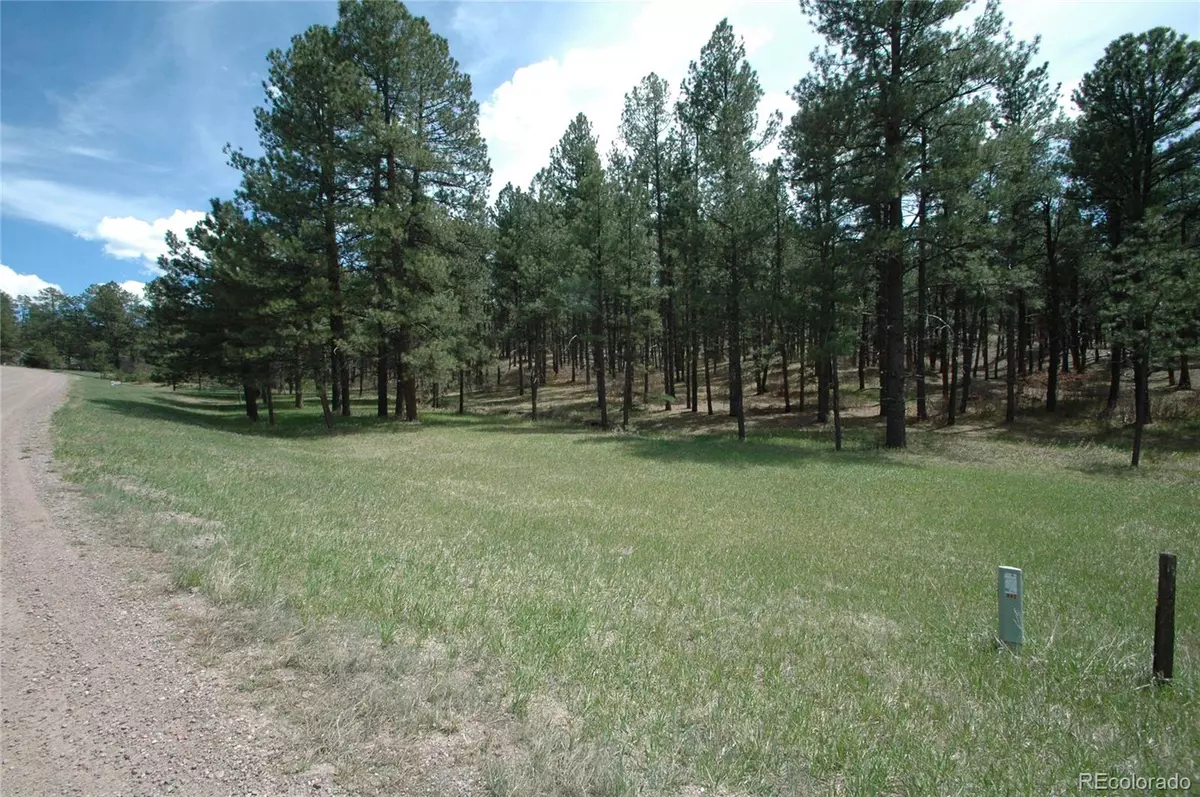 Franktown, CO 80116,856 Woodridge RD