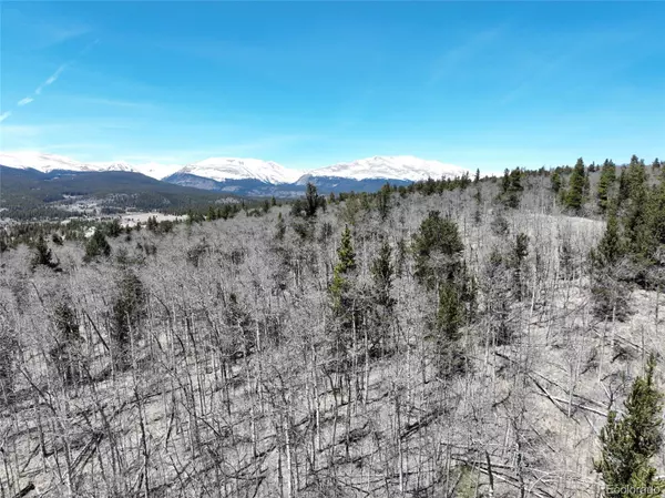 Fairplay, CO 80440,tbd Beaver Ridge RD