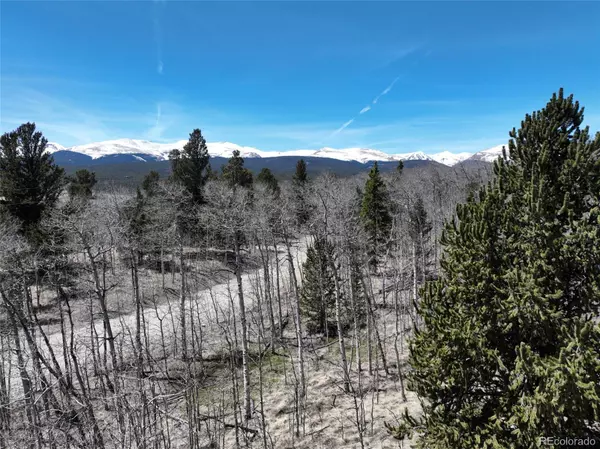 Fairplay, CO 80440,tbd Beaver Ridge RD