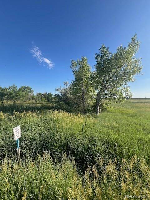 Longmont, CO 80503,8523 Hygiene RD