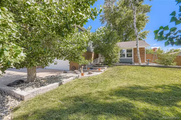 8202 S Carr CT, Littleton, CO 80128