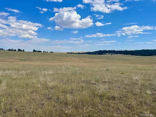 Elbert, CO 80106,11754 County Road 102