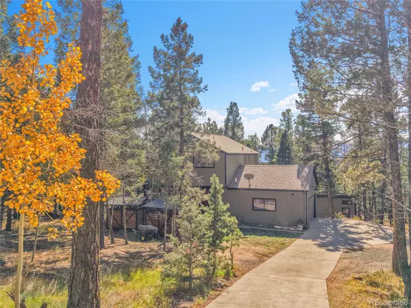 Conifer, CO 80433,31032 Haldimand DR