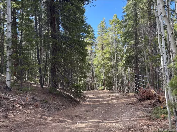 Central City, CO 80427,002 Pewabic Mine RD
