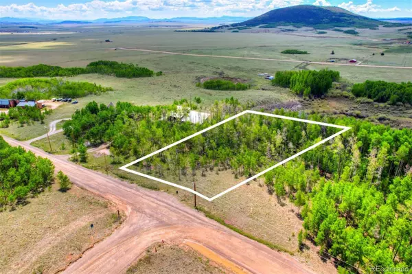 Fairplay, CO 80440,1527 Sheep Ridge RD