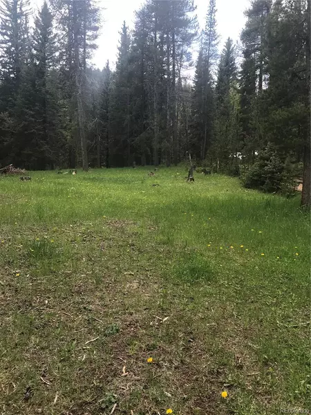 0 Shadow Mountain DR, Conifer, CO 80433
