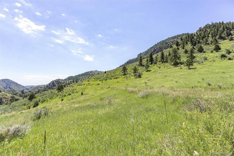 21814 Shady LN, Idledale, CO 80453