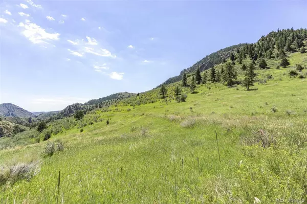 21814 Shady LN,  Idledale,  CO 80453