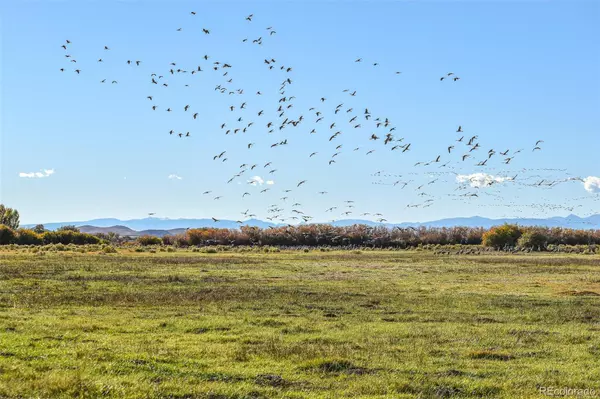Blanca, CO 81123,0 County Road 15.5