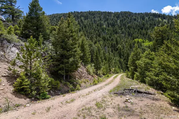 Golden, CO 80403,1259 Chute RD