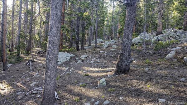 Idaho Springs, CO 80452,Pooh Corner