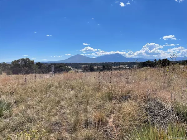 Walsenburg, CO 81089,Lot 4 Navajo Ranch Resorts #4