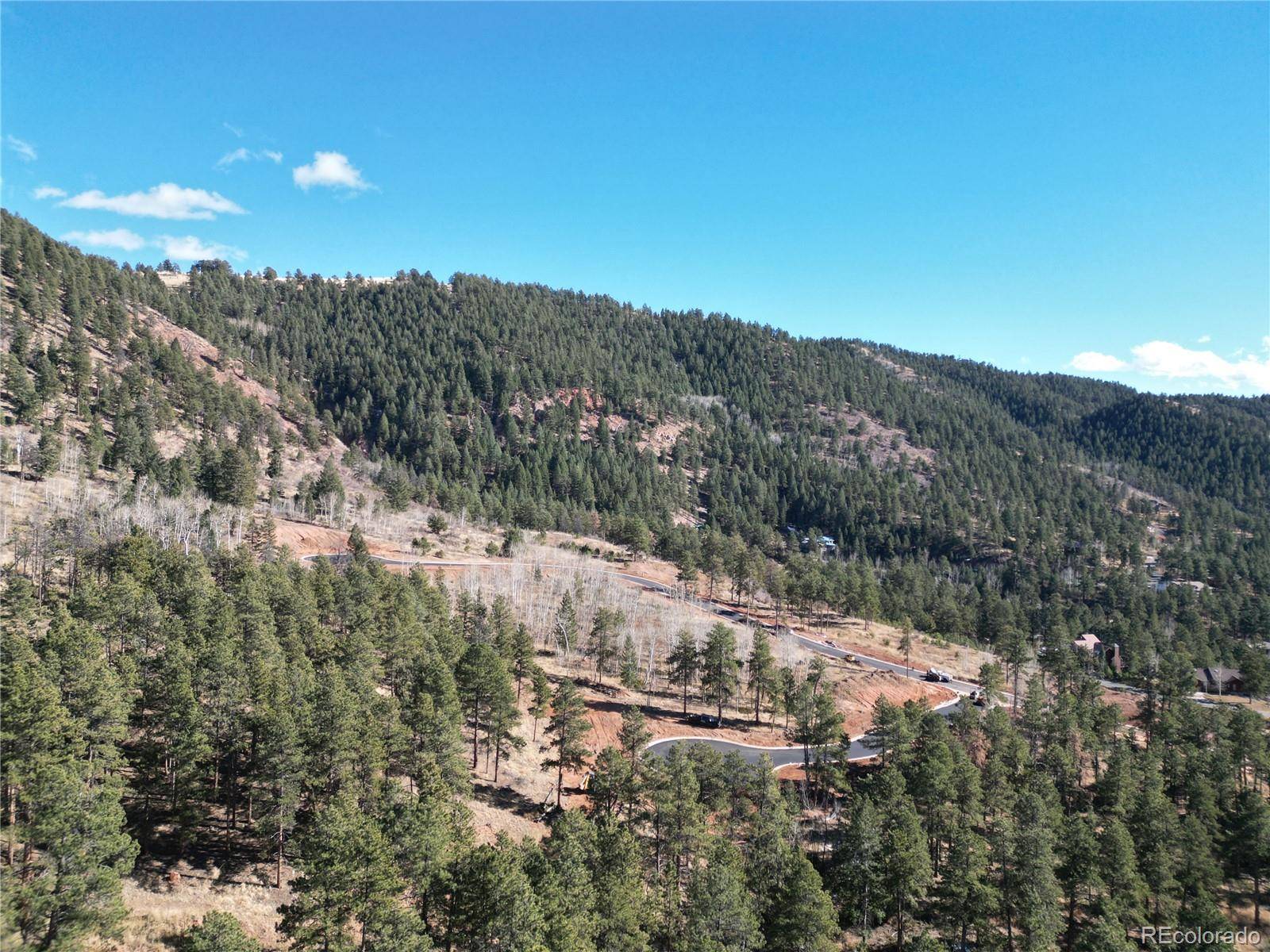 Woodland Park, CO 80863,19 Blue Haven PL