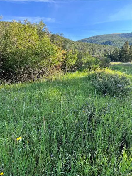 4150 Highway 91, Leadville, CO 80461