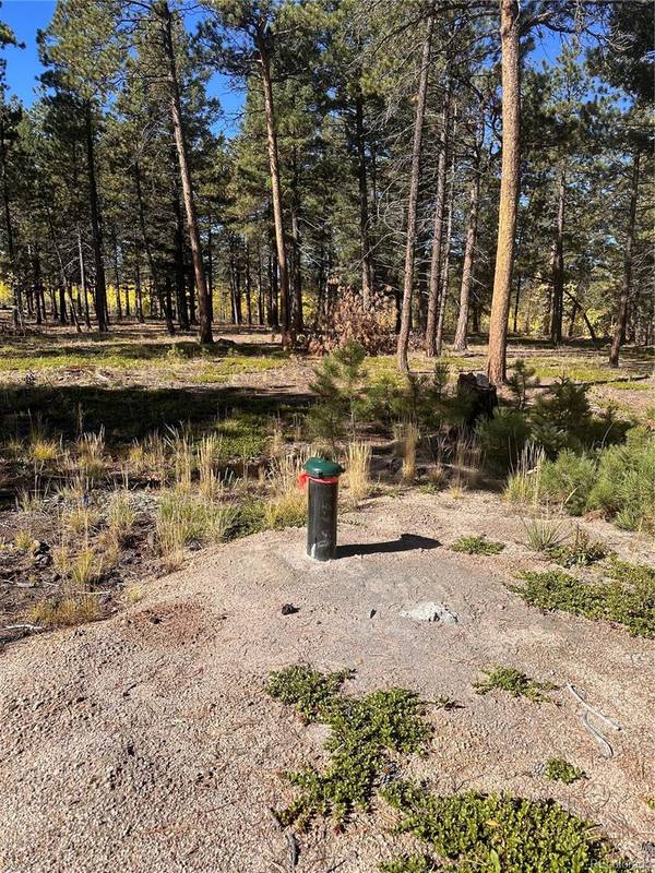 Florissant, CO 80816,Lot 3 County Road 51