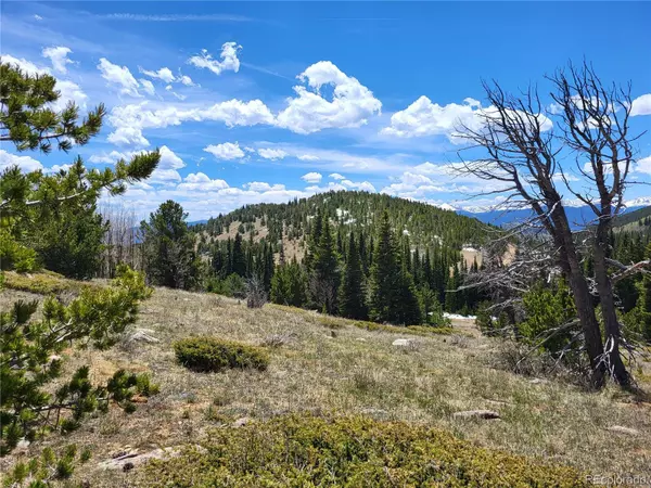 Black Hawk, CO 80422,12702 Stewart Gulch RD