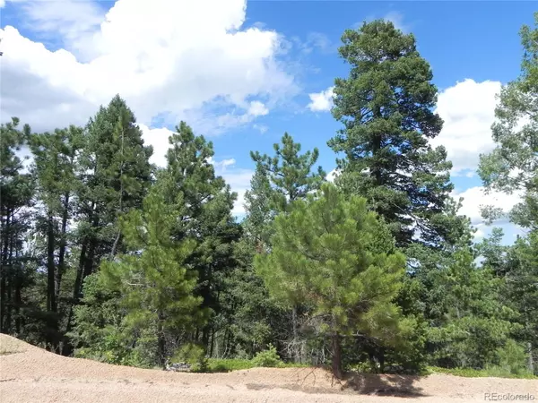Larkspur, CO 80118,13886 Boulder LN