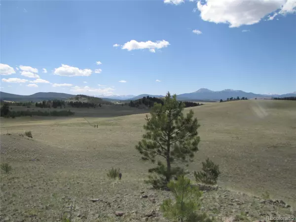 499 Saddle Horn RD, Hartsel, CO 80449