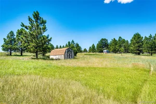 Kiowa, CO 80117,13123 Wilderness DR