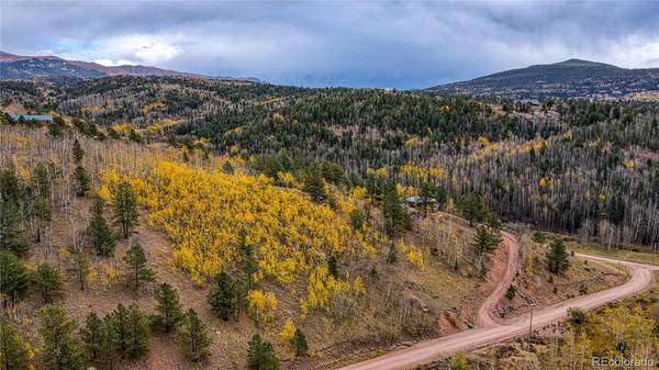 Cripple Creek, CO 80813,77 Granite LN