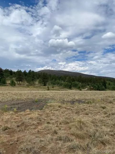 Hartsel, CO 80449,2538 Windmill DR