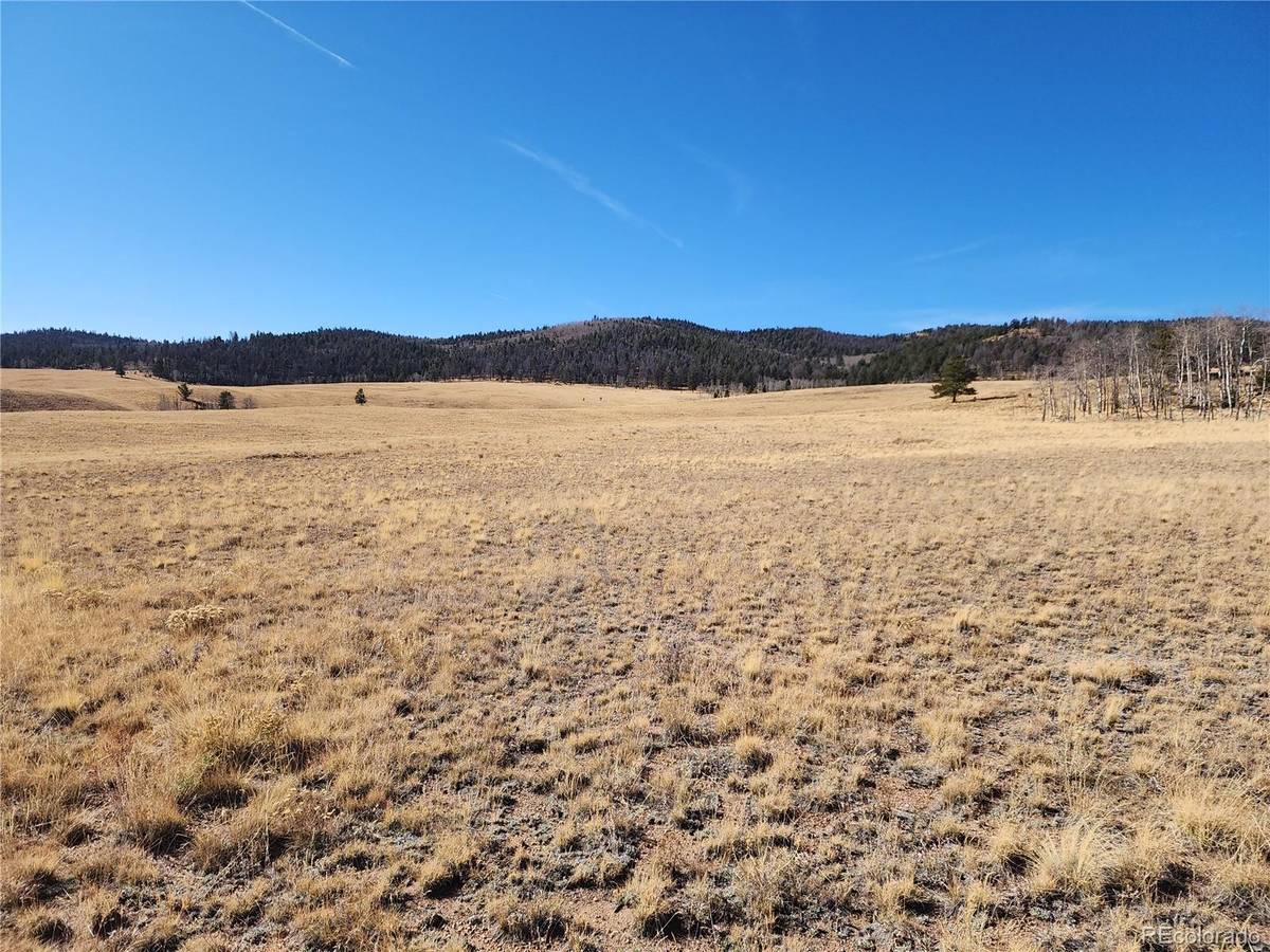 Hartsel, CO 80449,8802 Ranch RD