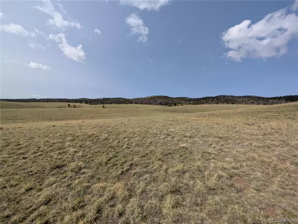 Hartsel, CO 80449,8802 Ranch RD
