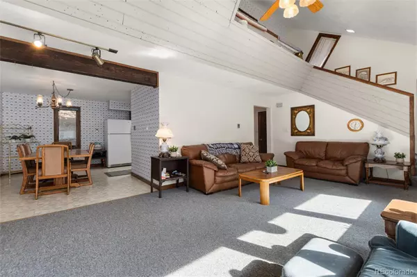 Idaho Springs, CO 80452,4120 Fall River RD