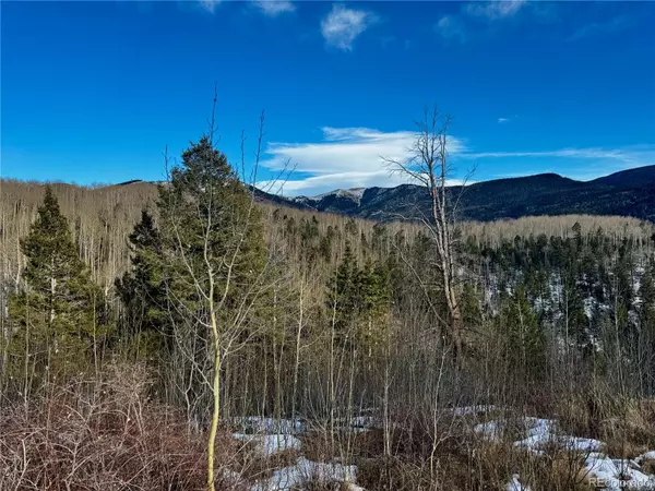 Fort Garland, CO 81153,Lot 5850 Richardson RD