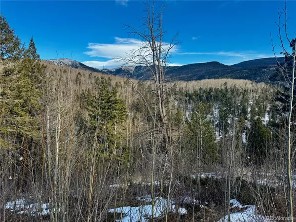 Fort Garland, CO 81153,Lot 5850 Richardson RD