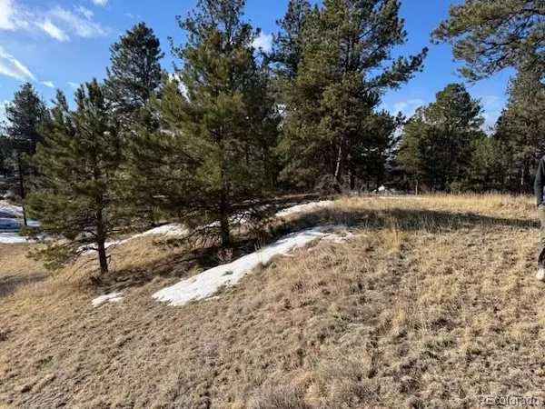 Florissant, CO 80816,291 Rhyolite LN