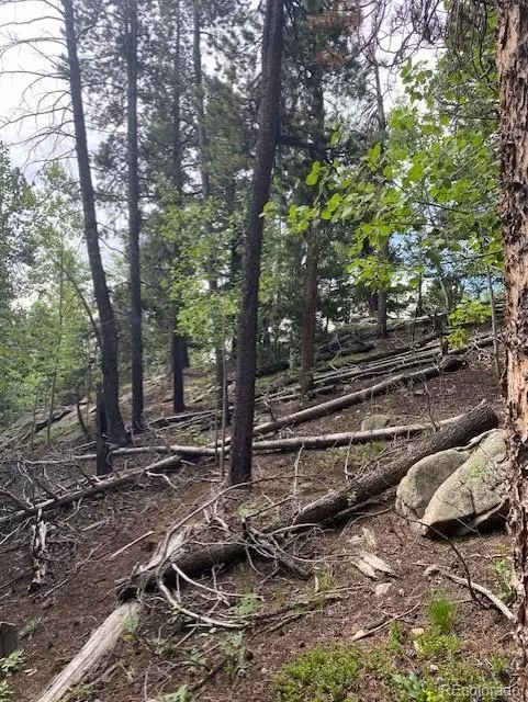 Golden, CO 80403,33830 Skyline DR