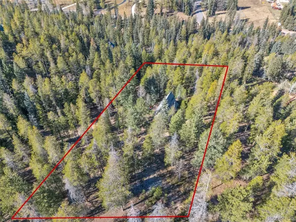 Evergreen, CO 80439,7624 Brook Forest LN