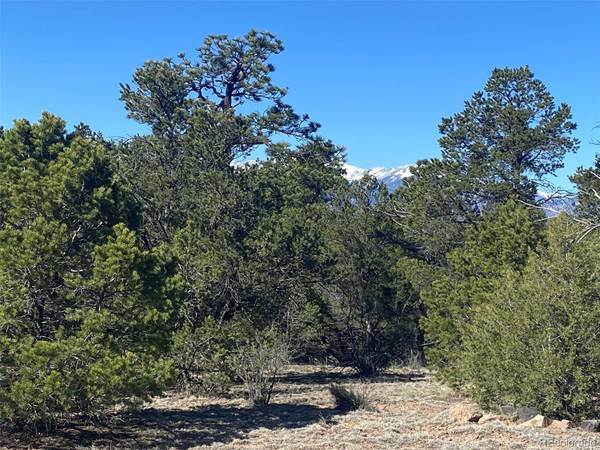 Cotopaxi, CO 81223,1834 Texas Creek LN