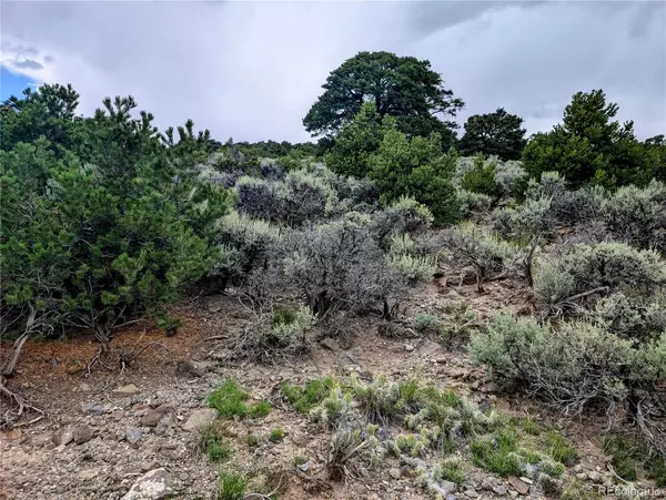 San Luis, CO 81152,Lot 12 Eastridge TRL