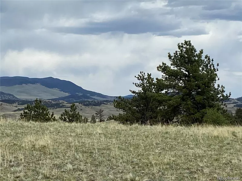 Kansa RD, Hartsel, CO 80449