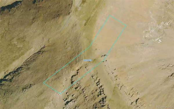 7118 Black Bear MC, Fairplay, CO 80440