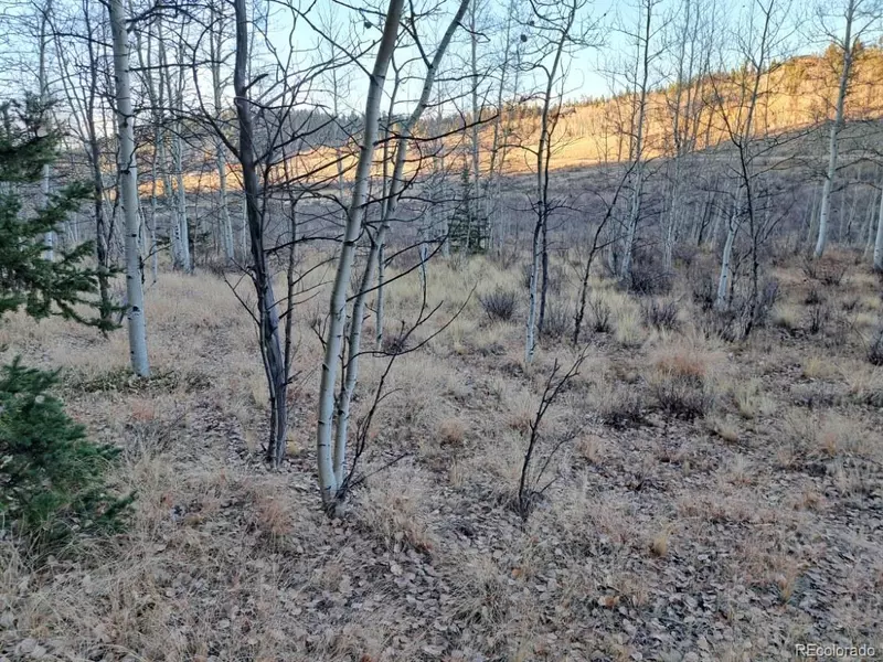 805 Longbow DR, Como, CO 80432