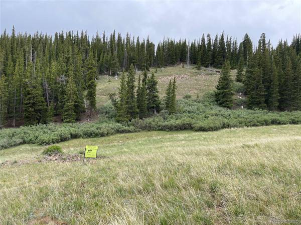 00 FOREST ROAD 450, Alma, CO 80420