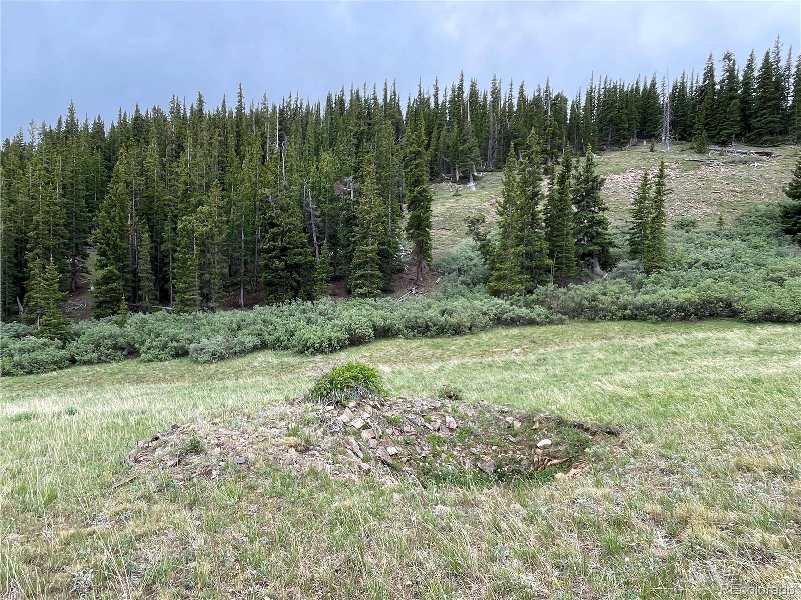 Alma, CO 80420,00 FOREST ROAD 450