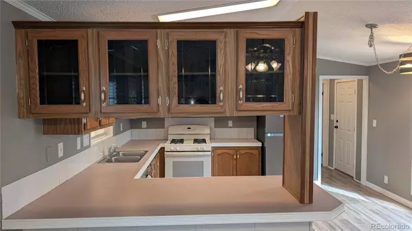 Castle Rock, CO 80109,7 Darren ST