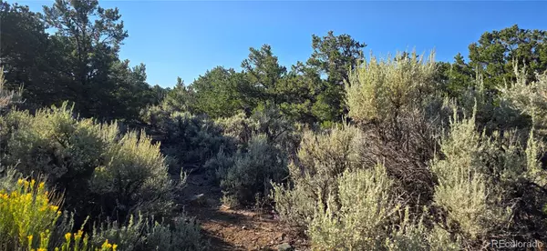 Fort Garland, CO 81133,Lot 1362 Dunn RD