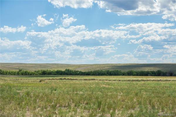 Kiowa, CO 80117,COUNTY ROAD 142