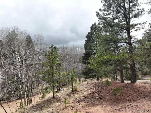 Florissant, CO 80816,255 Pinon LN