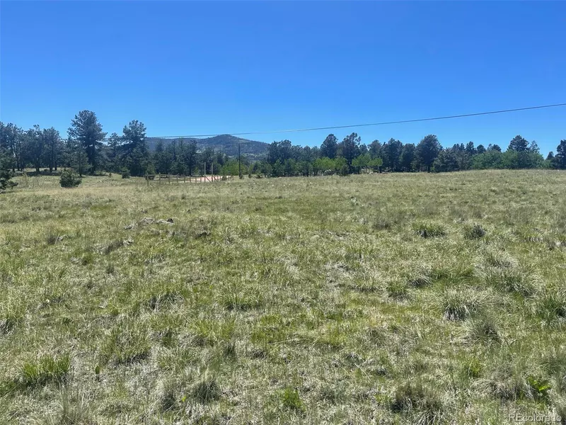 335 Castle Mountain DR, Florissant, CO 80816