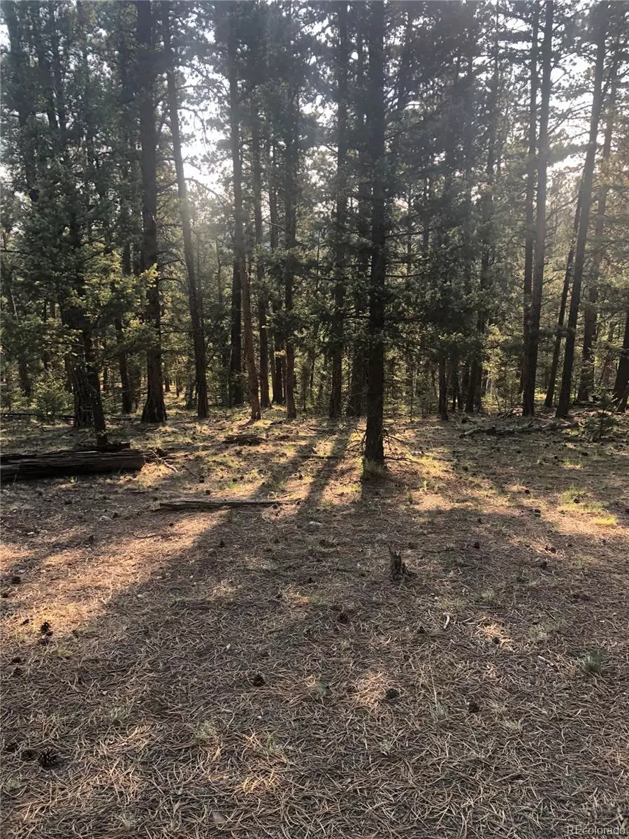 Lake George, CO 80827,469 Echo Lake DR