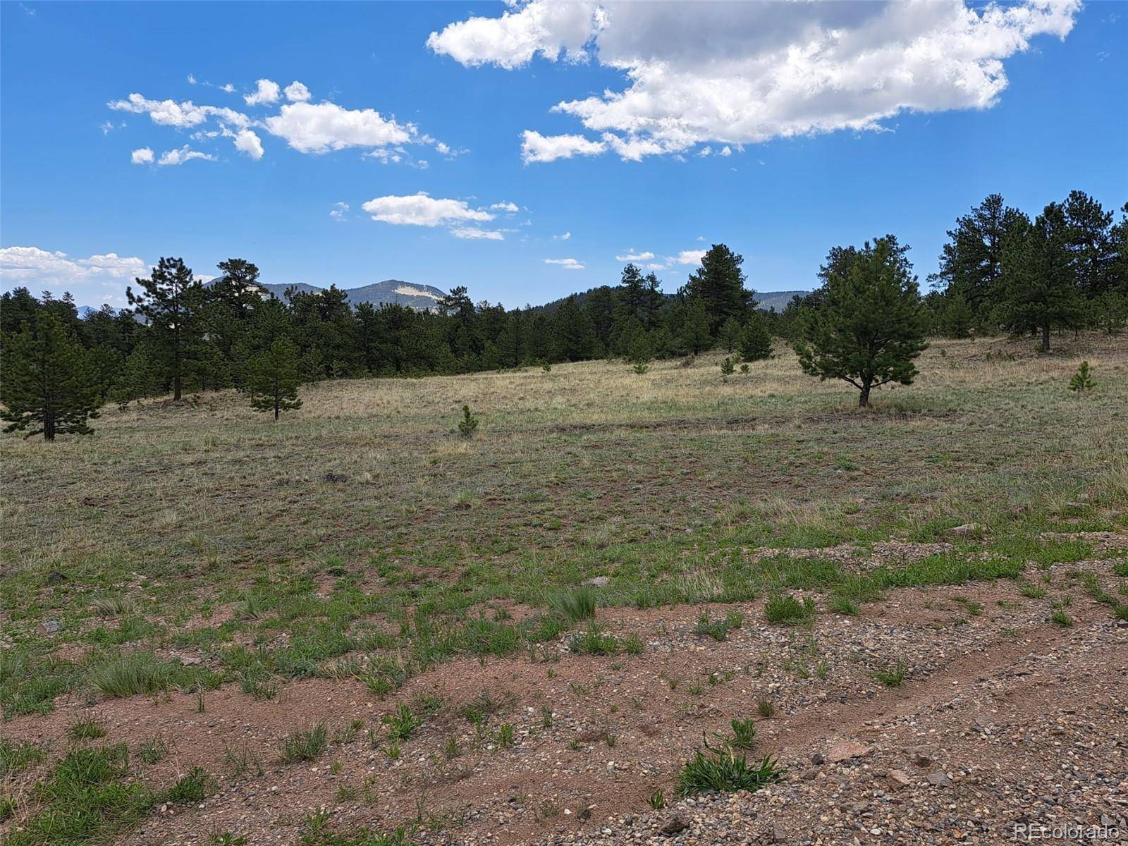 Guffey, CO 80820,744 Julia RD