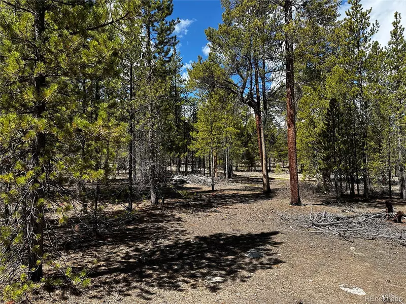 945 Birch DR, Twin Lakes, CO 81251
