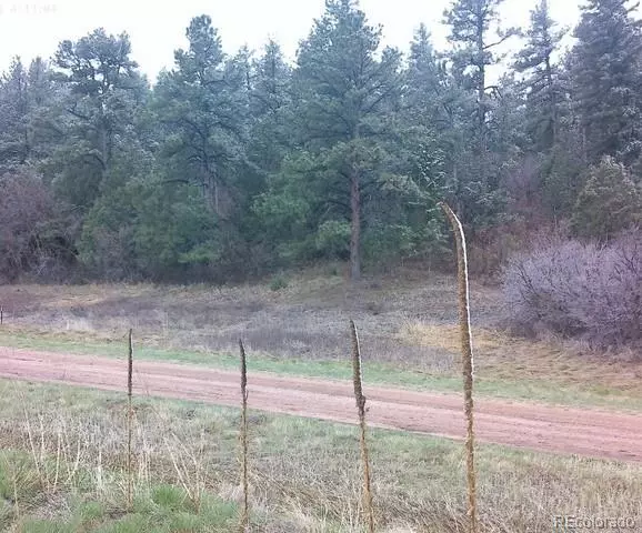 Larkspur, CO 80118,4716 Comanche DR