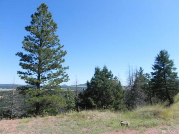 5119 Cheyenne DR, Larkspur, CO 80118